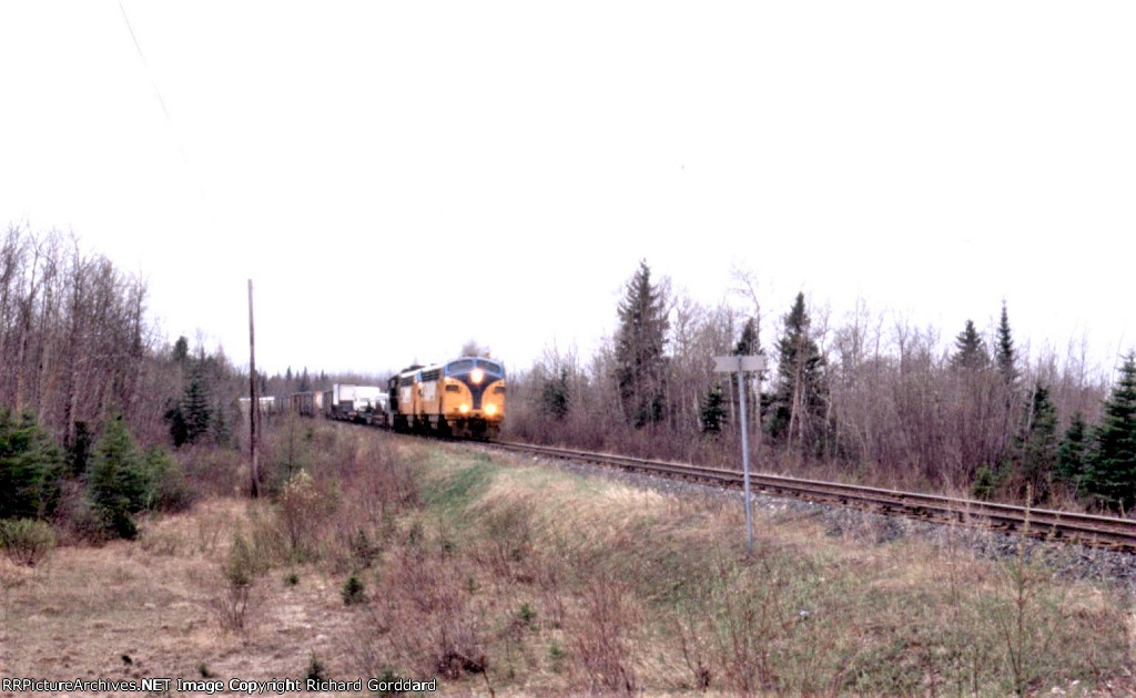 ONT 2000 leading the Little Bear north of Cochrane 